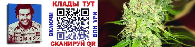 Купить наркотики сайты Судогда COCAIN  Меф мяу мяу  Alpha PVP  МАРИХУАНА 