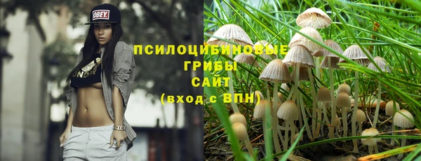 спайс Алексин